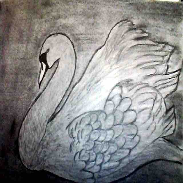Rajahamsa — an original drawing by Srinivas Rao